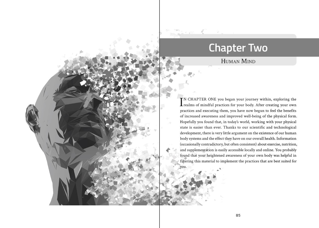 Hardcover - Insight Job: 20 Quests for your Journey Within