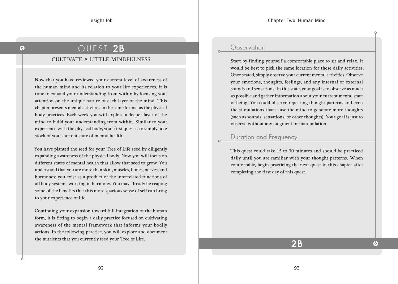 Hardcover - Insight Job: 20 Quests for your Journey Within