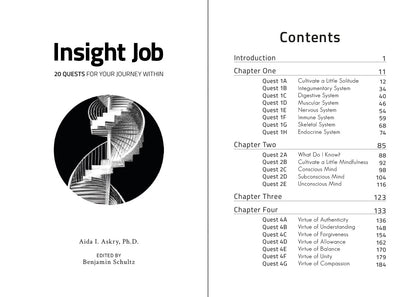 Hardcover - Insight Job: 20 Quests for your Journey Within