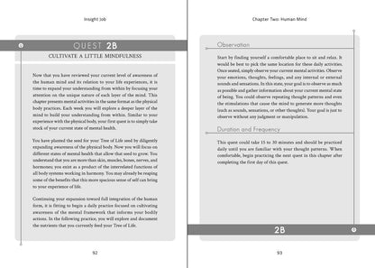 Hardcover - Insight Job: 20 Quests for your Journey Within